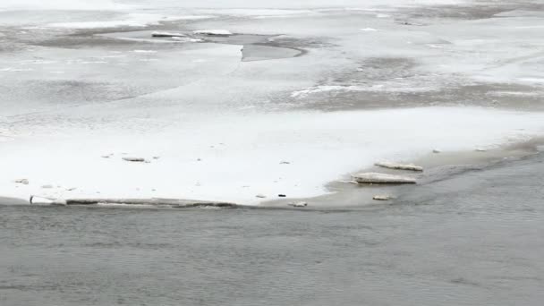 Agua que fluye sobre un fondo de hielo. Río de primavera — Vídeo de stock