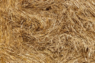 Saman yığınının tarımsal geçmişinin elementleri ve bileşenleri kapanıyor