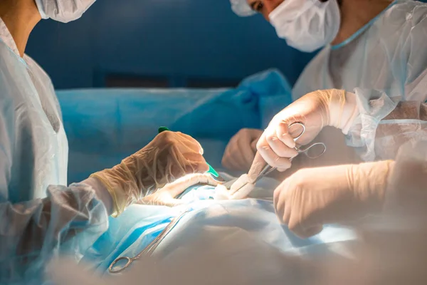 Ameliyat sırasında doktorların eldiven taktığı yakın çekimler. — Stok fotoğraf