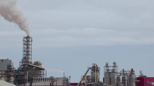 Industrial zone with a pipe thick white smoke is poured from the factory pipe in contrast to the sun. Pollution of the environment: a pipe with smoke — Stock Video