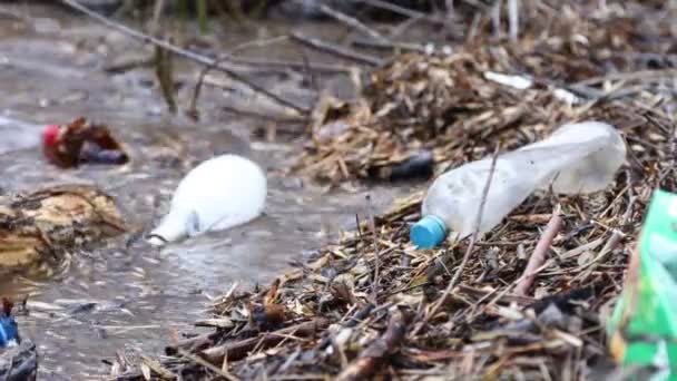 Göl suyunda bir sürü plastik şişe var. Çevre kirliliği, mikro plastik — Stok video