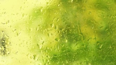 Yeşil yaz arka planında yağmur yağarken cam üzerine yağmur damlaları