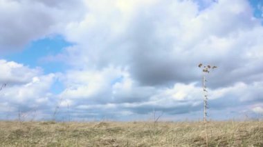 Bir bahar tarlasında süzülen bulutlar. Dinamik hava