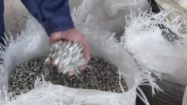 Mann Hand hält PP Pet Chips Semi Dull, PET-Chips recyceln, PET-Polyesterchips — Stockvideo