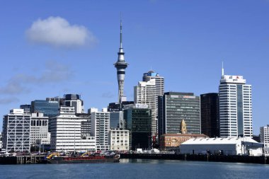 Auckland harbour, Yeni Zelanda