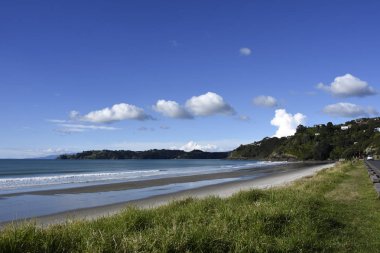 Auckland harbour, Yeni Zelanda