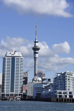 Auckland harbour, Yeni Zelanda