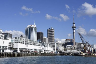 Auckland harbour, Yeni Zelanda