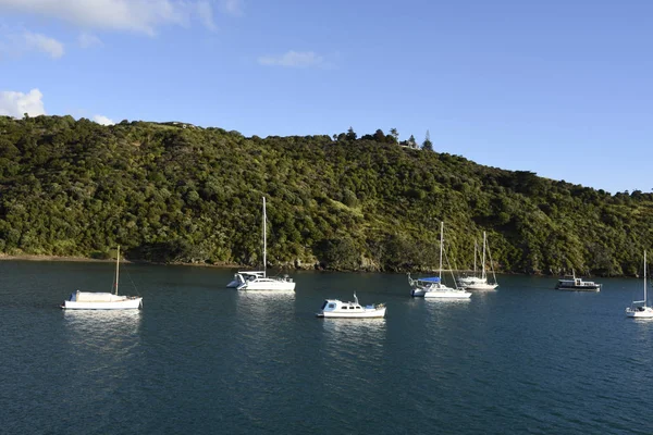 Hamnen Auckland Nya Zeeland — Stockfoto