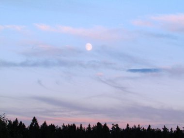 Karanlık orman üzerinde sarı ay