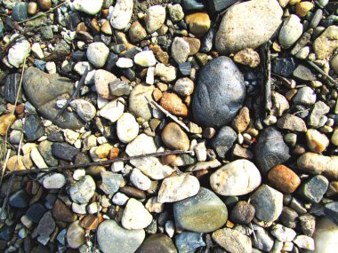 Doğanın incelenmesi ve gözlemi bilimi doğurdu.