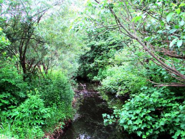 Hadi... doğaya karşı kazandığımız zaferler tarafından çok fazla kaptırış. Böyle her zafer için, o intikam alır
