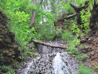 Sovetsk kasabasında güzel şelale