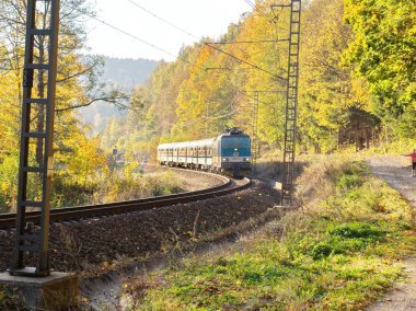 Demiryolu Polonya ile sınır yakınlarındaki ormanda. Erken ve sıcak sonbahar.