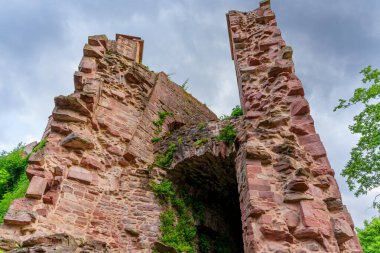 Heidelberg Şatosu 'nun yıpranmış taş kalıntılarının, karamsar, bulutlu bir gökyüzünün altında canlı yeşillikle sarmalanmış yakın görüntüsü..