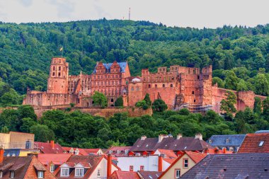 Heidelberg, Almanya - 8 Haziran 2025: Heidelberg Kalesi 'nin panoramik manzarası, tarihi şehrin canlı yeşil ve kırmızı çatılarıyla çevrili bir yamaçta tünemişti..