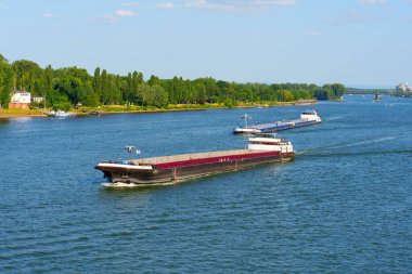 Mainz, Almanya - 19 Haziran 2025: Berrak mavi gökyüzü altında canlı yeşil ağaçlarla çevrili Mainz, Almanya 'daki Ren Nehri' nin sakin sularında yol alan mavnalar.