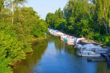 Mainz, Almanya - 19 Haziran 2025: Berrak mavi gökyüzü altında yemyeşil bir kıyı boyunca çok sayıda teknenin yer aldığı sakin nehir sahnesi.