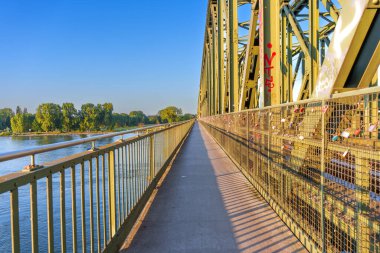 Mainz, Almanya - 19 Haziran 2025: Mainz Köprüsü 'nün düz manzarası, sergilenen çelik yapı, yemyeşil ağaçlar ve açık mavi gökyüzünün altındaki Ren Nehri.