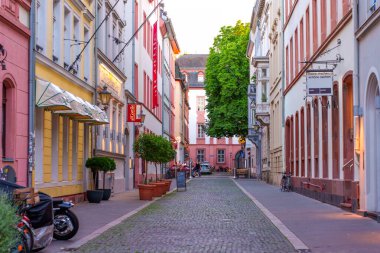Mainz, Almanya - 19 Haziran 2025: Mainz, Almanya 'da tarihi binalar, yeşillikler ve kafe oturma yerleriyle dolu büyüleyici kaldırım taşı caddesi.