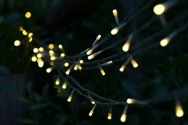 Kısmen odaklı bir güzel büyük bokeh arka plan üzerinde koyu ağaç dalına asılı sarı Noel ışıkları