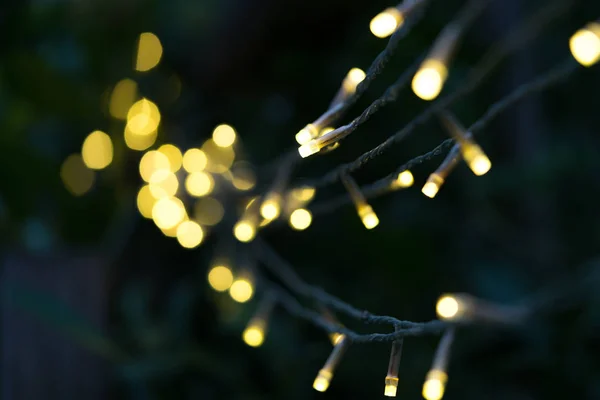Kısmen odaklı bir güzel büyük bokeh arka plan üzerinde koyu ağaç dalına asılı sarı Noel ışıkları