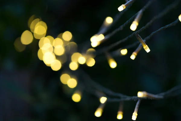 Teilweise Fokussierte Gelbe Weihnachtslichter Hängen Dunklen Ästen Mit Einem Schönen — Stockfoto