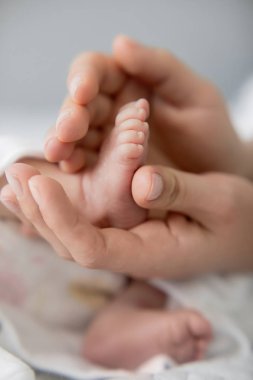 Yeni bir hayat. Yeni doğmuş çocuk. Çocuklar ve hamilelik. Bebek ve aile. Anne ve babanın elinde küçük bacak.