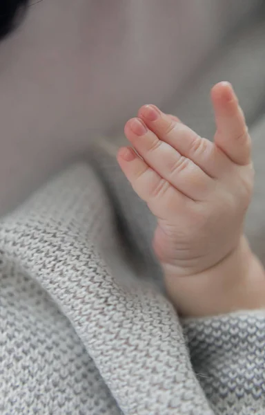 Yenidoğan gri bir yatak örtüsü, küçük bir el üzerinde yatıyor. Yeni bir hayat. Çocuklar ve hamilelik. Bebek ve aile. Mutlu babam ve annem. İnsan ırkının devamı.