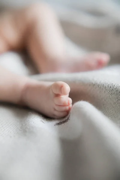 Yenidoğan gri bir yatak örtüsü, küçük bacaklar üzerinde yatıyor. Yeni bir hayat. Çocuklar ve hamilelik. Bebek ve aile. Mutlu babam ve annem. İnsan ırkının devamı.