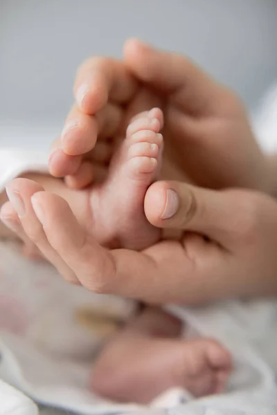 Yeni bir hayat. Yeni doğmuş çocuk. Çocuklar ve hamilelik. Bebek ve aile. Anne ve babanın elinde küçük bacak.