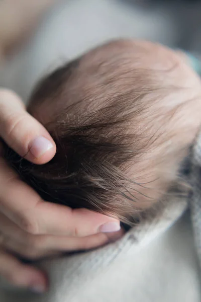 Bir ebeveynin kollarında saç ile yeni doğmuş bir brunet başkanı. Yeni bir hayat. Çocuklar ve hamilelik. Bebek ve aile. Mutlu babam ve annem. İnsan ırkının devamı.