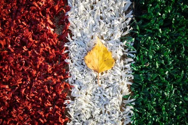 on a red and green background the white leaf from the tree lies separated by a white stripe. The colors and mood of autumn. view from above