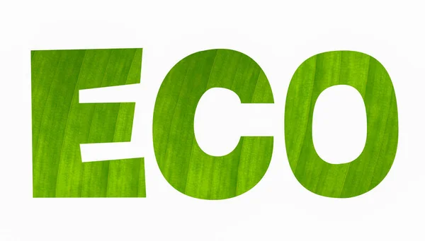 Ecoタイポグラフィ 葉のテクスチャデザイン 葉のフォント作成ディスプレイ 隔離された白の背景 — ストック写真