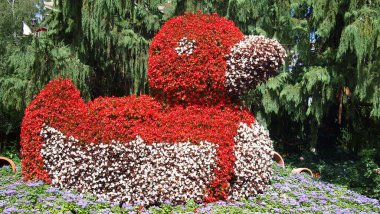Ördek şeklinde çiçek tarhı. Büyük parkta, Almanya 'da çiçek heykeli