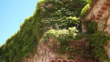 Eze, Provence, Fransa 'nın mimari ve manzarasının güzel unsurları