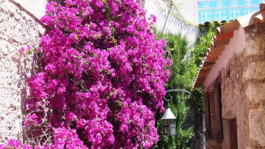 Eze, Provence, Fransa 'nın mimari ve manzarasının güzel unsurları