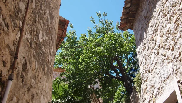 Prachtige Elementen Van Architectuur Uitzicht Stad Eze Provence Frankrijk — Stockfoto