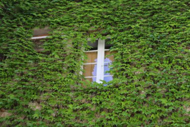 Saint-Paul-de-Vence, Provence, Fransa mimarisinin güzel unsurları ve manzarası