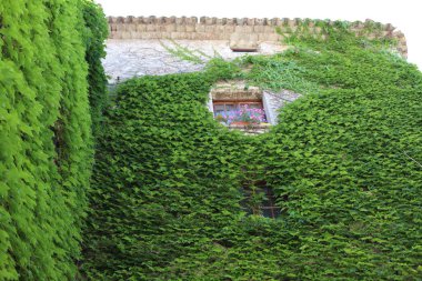 Saint-Paul-de-Vence, Provence, Fransa mimarisinin güzel unsurları ve manzarası