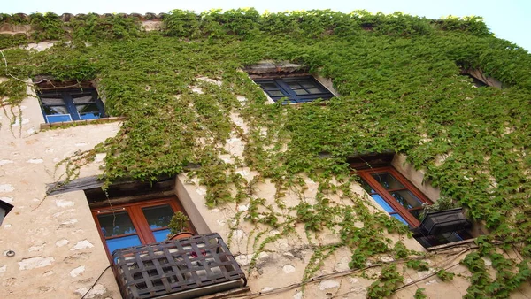 Krásné Prvky Architektury Výhledy Město Saint Paul Vence Provence Francie — Stock fotografie