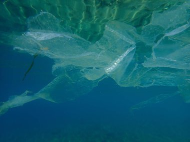 Suyun altında plastik çöp, Ege Denizi, Yunanistan, Halkidiki