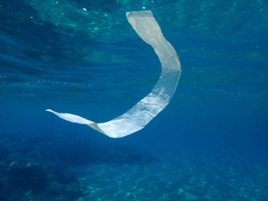 Suyun altında plastik çöp, Ege Denizi, Yunanistan, Halkidiki