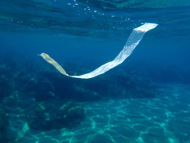 Suyun altında plastik çöp, Ege Denizi, Yunanistan, Halkidiki