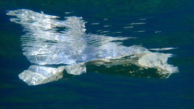 Suyun altında plastik çöp, Ege Denizi, Yunanistan, Halkidiki