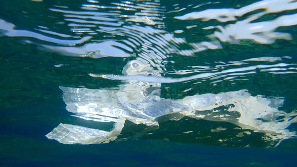 Immondizia Plastica Sott Acqua Mar Egeo Grecia Calcidica — Foto Stock