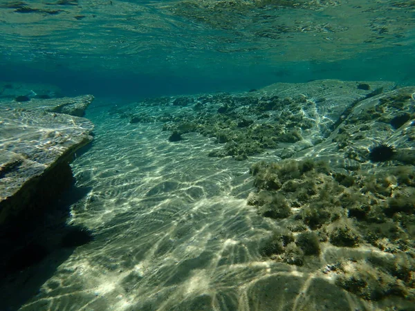 Onderwater Zeegezicht Egeïsche Zee Griekenland Halkidiki — Stockfoto