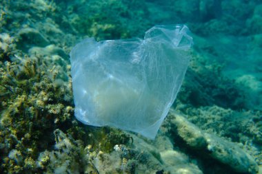 Suyun altında plastik bir torba, Ege Denizi, Yunanistan, Halkidiki, Pirgos plajı. Deniz kirliliği.