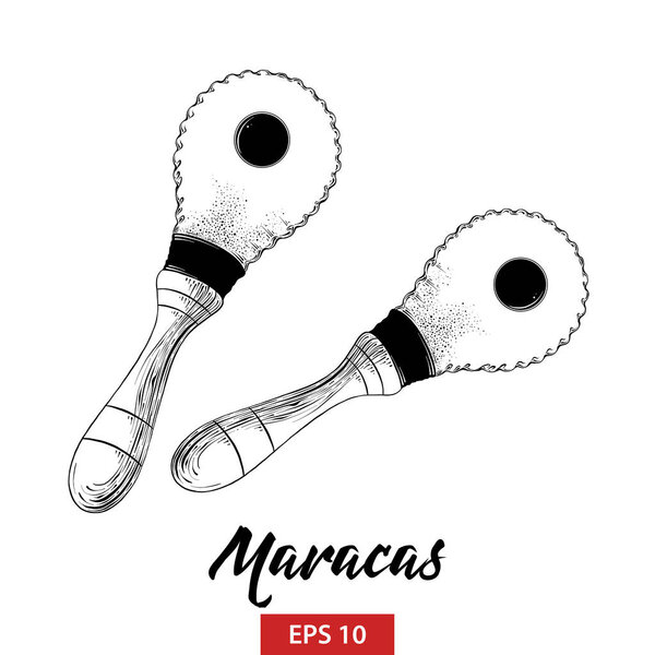 Vector engraved style illustration for posters, decoration and print. Hand drawn sketch of musical maracas in black isolated on white background. Detailed vintage etching style drawing.