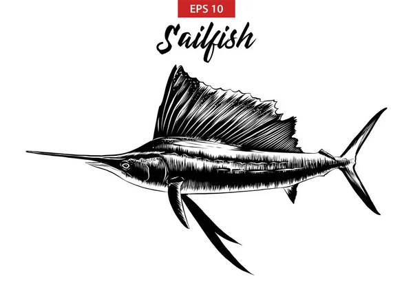 Posterler, süsleme ve baskı için oyulmuş stil illüstrasyon vektör. El sailfish siyah beyaz arka plan üzerinde izole çizilmiş kroki. Vintage gravür tarzı çizim ayrıntılı.
